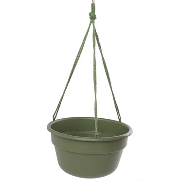 Bloem 12" Dura Cotta Hanging Basket Living Green