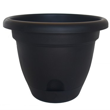 Bloem 6" Lucca Planter Black