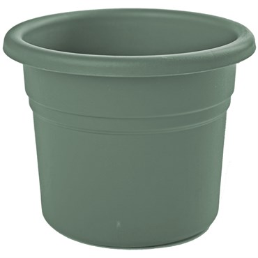 Bloem 10" Posy Planter Basil