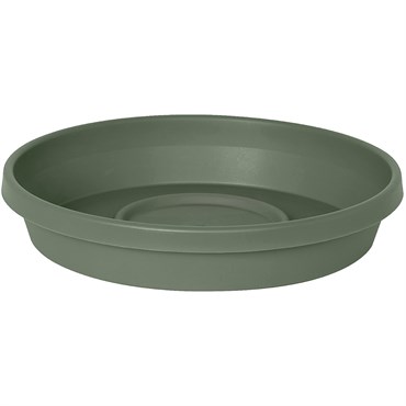 Bloem 6" Terra Saucer Basil