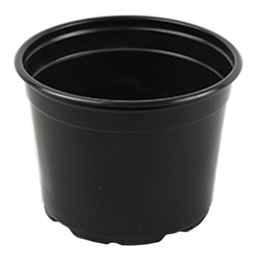 Grower Select 05.00 Coex Azalea Round Pot Black 1120/CS