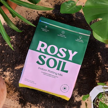 Rosy Soil 4qt Indoor Potting Mix — Single Unit - Image 2