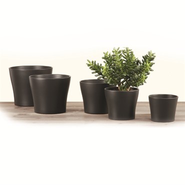 Scheurich 8.75" Anthracite 808/21 Planter