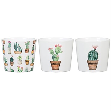 Scheurich 2.75" Cactus Gdn Asst 870/07 Planter
