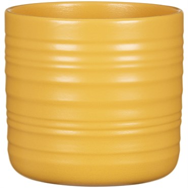 Scheurich 6.5" 850/17 Planter Curcuma