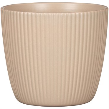 Scheurich 5.5" 842/14 Planter Dry Reed