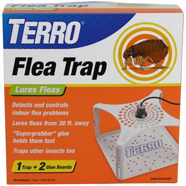 Terro Flea Trap
