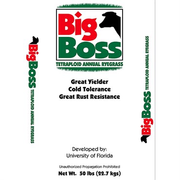 Smith Seed 50# Bigboss Tetrapld Ryegrass