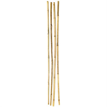 SuperMoss 4pk 36" Bamboo Stakes Natural