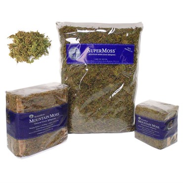 SuperMoss 16oz Forest Moss Dried Natural Green