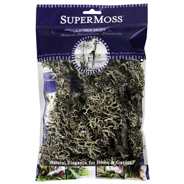 SuperMoss 4oz Lichen Parmeli Natural