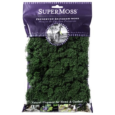 SuperMoss 2oz Reindeer Moss Forest