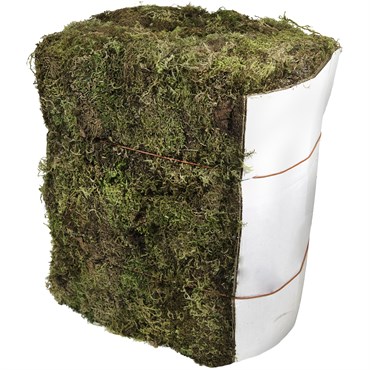 SuperMoss 25# Bale Forest Moss Dried Natural Green