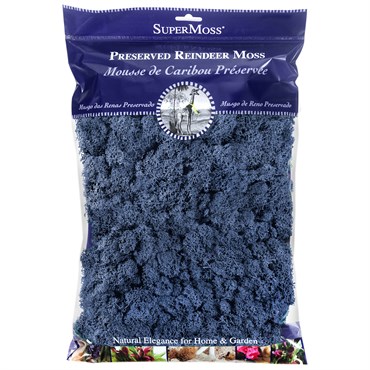 SuperMoss 4oz Reindeer Moss Blue