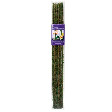 SuperMoss 6pk 32" Natural Moss Stakes