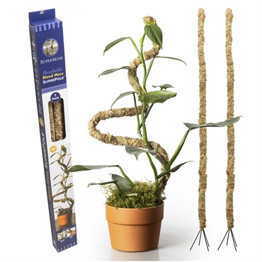 SuperMoss 2pk 36" Bendable Blond Moss SuperPole