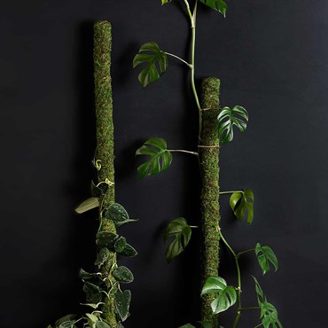 SuperMoss 18" Moss Pole - Image 2