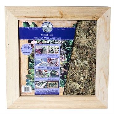SuperMoss 14"x14" Natural Sphagnum Moss Living Frame