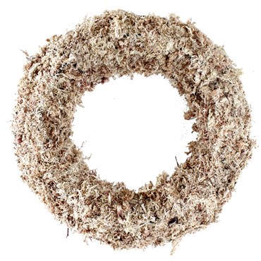 SuperMoss 11" Succulent Round Wreath