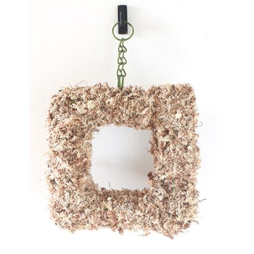 SuperMoss 11" Succulent Square Wreath