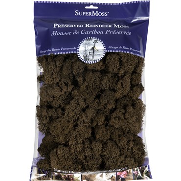 SuperMoss 8oz Reindeer Moss Preserved Brown