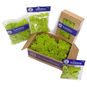 SuperMoss 4oz Reindeer Moss Red