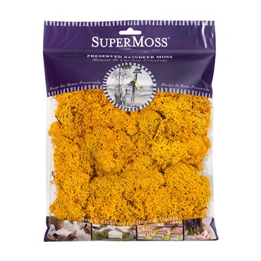 SuperMoss 4oz Reindeer Moss Mango