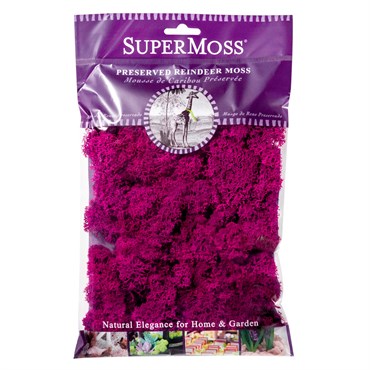 Mango 8oz Preserved Reindeer Moss Floral Moss