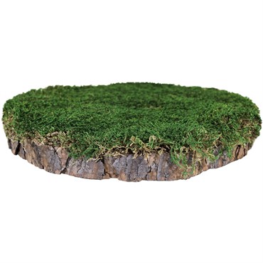 SuperMoss 1" MossyTree Stump Fresh Green