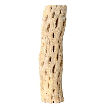 SuperMoss 12" Cholla Wood