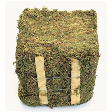 SuperMoss 1.5# Bale Dried Mountain Moss