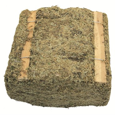 SuperMoss 3.5# Mountain Moss Dried