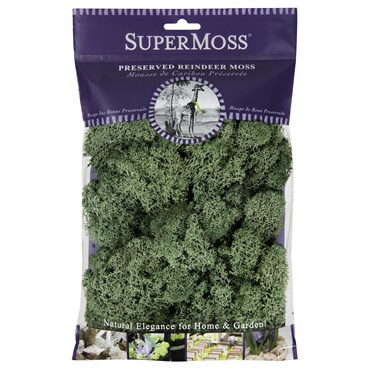SuperMoss 2oz Reindeer Moss Moss Green