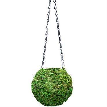 SuperMoss 6" Kokedama Green Moss Ball Planter