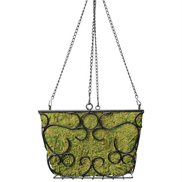 SuperMoss 12" Black Hammer McBeth Square Hanging Basket