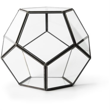 SuperMoss Glass Terrarium Dome