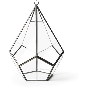 SuperMoss Glass Terrarium Teardrop