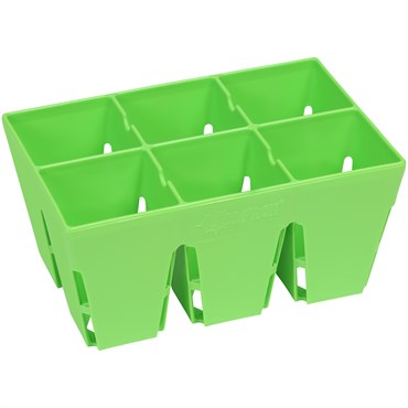 Sunpack 6 Cell Mega Square Insert Green