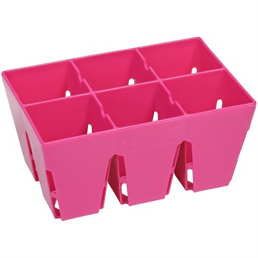 Sunpack 6 Cell Mega Square Insert Magenta