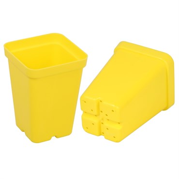 SunPack 2.5" Square Pot, Yellow