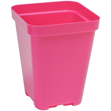 Sunpack 3.3" Heavy Duty Seed Starting Pots Square Magenta