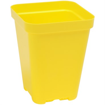 Sunpack 3.3" Heavy Duty Seed Starting Pots Square Yellow