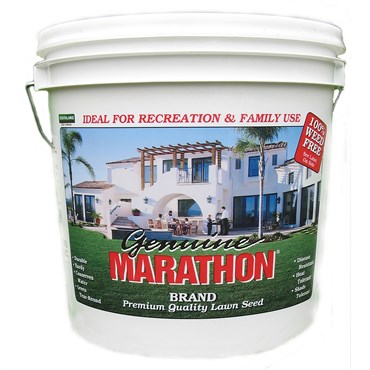 Marathon 1 Grass Seed 5#