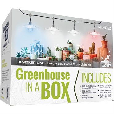 The Greenhouse Company Of Sc — catalog preview