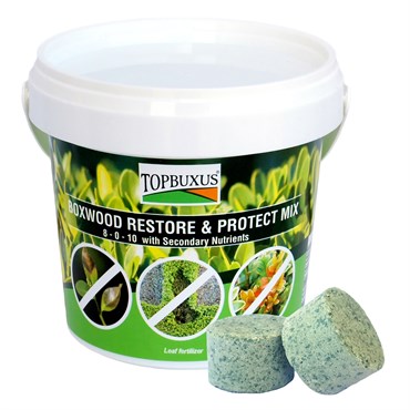 TOPBUXUS 10ct Tabs Green Bucket Boxwood Restore & Protect Mix