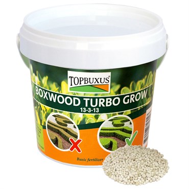 TOPBUXUS 1lb Boxwood Turbo Grow Orange Bucket