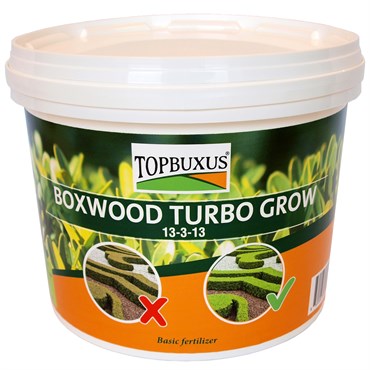 TOPBUXUS 10lb Boxwood Turbo Grow Orange Bucket