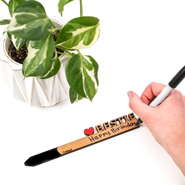 Treleaf Celebration Stake Assorted - Image 3