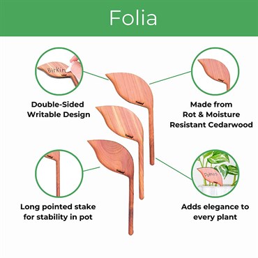 Treleaf 12pc Folia Labels Cedar - Image 7