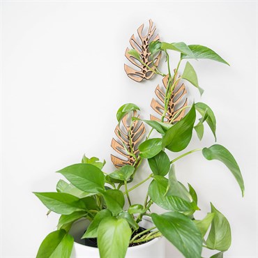 Treleaf 3pc Set Monstrella Wall Mounted Plant Hooks Regular Cherry - Image 2